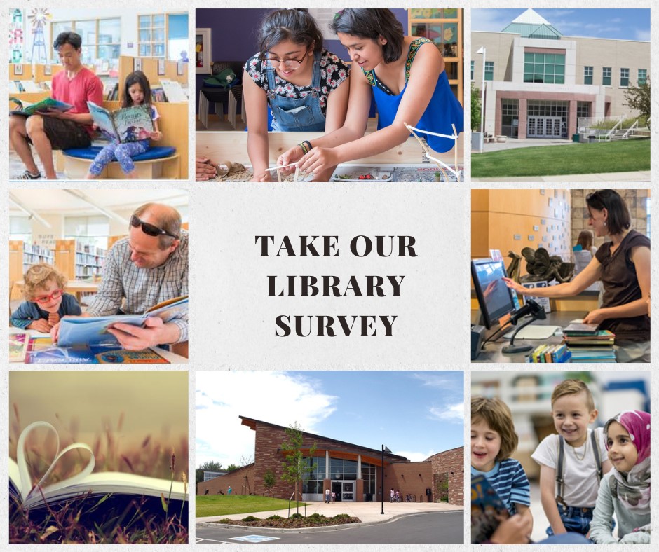 Library Survey